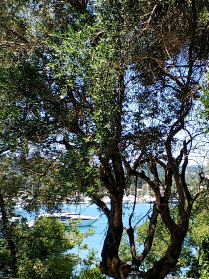 Coritos Apartments Corfu Контокали Экстерьер фото